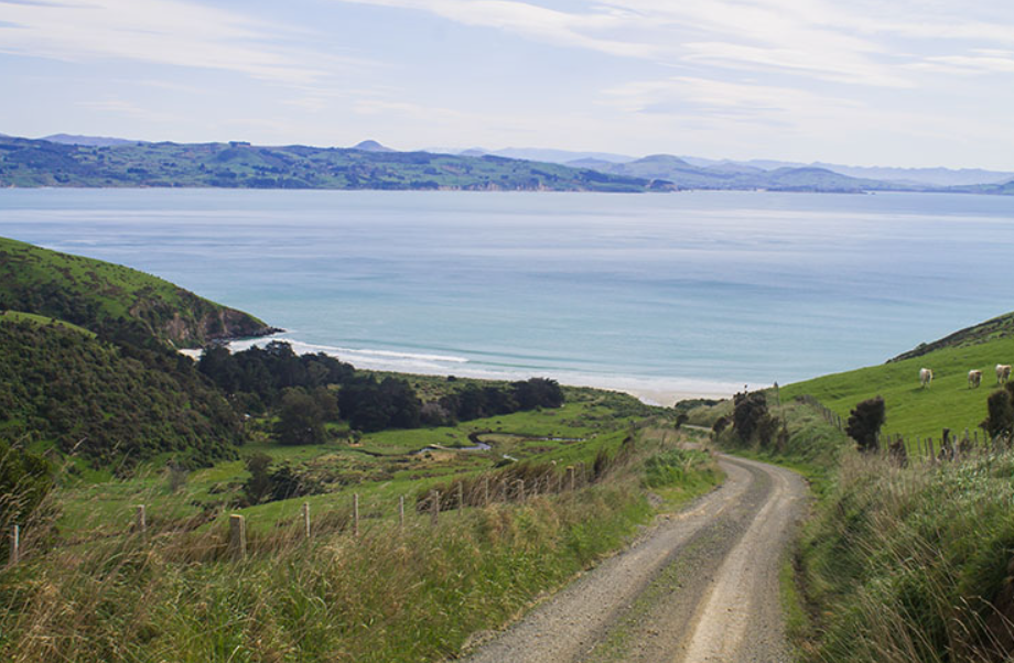 Whareakeake (Murdering Beach), Dunedin, New Zealand
